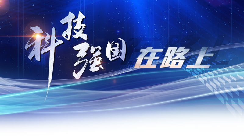 私有化部署：智能客服的智慧之路**