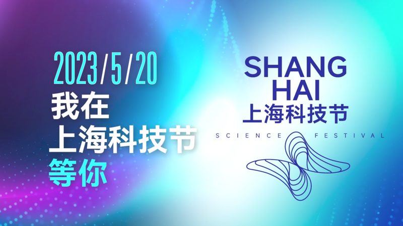 智能客服故障排除：关键步骤与常见问题解析**
